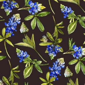 bluebonnet watercolor on dark chocolate brown