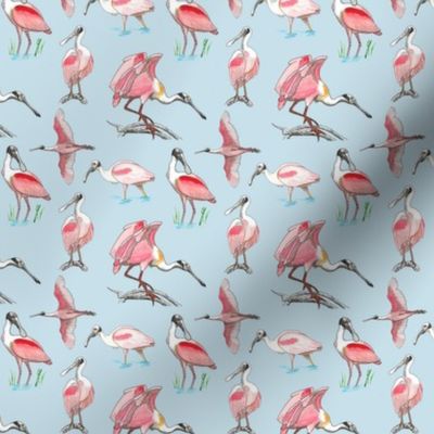 Roseate spoonbills on blue 3x3