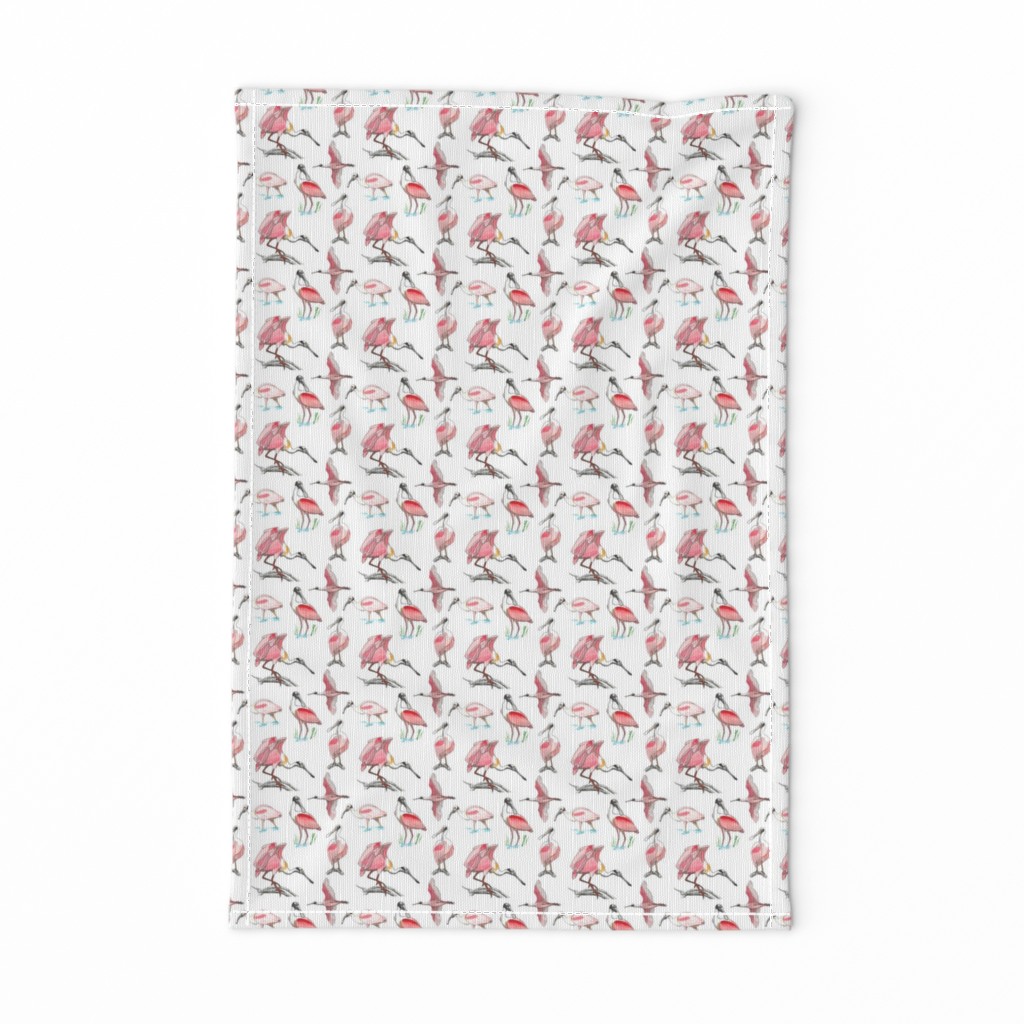 Roseate spoonbills on white 3x3