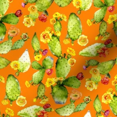 flowering watercolor cacti  on orange