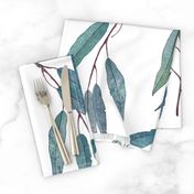 Eucalyptus leaves /scale/