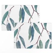 Eucalyptus leaves /scale/