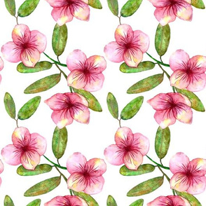 Beautiful delicate Seamless pattern with pink flowers watercolor drawing