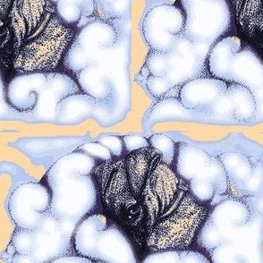 Pup in a cloud pocket-PaleCornflower&Mango-