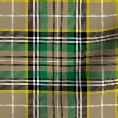 O'Farrell tartan, 6" tan