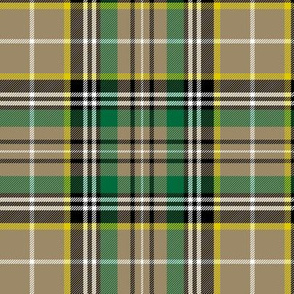 O'Farrell tartan, 6" tan