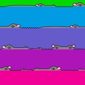 I-Spy Hippo! rainbow bright 2" stripes