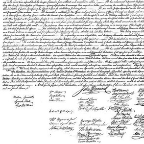 Declaration of Independence // Small