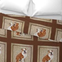 Bulldog Quilt/Pillow Panel