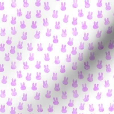 small bunnies in bright purple