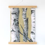 birch trees bg