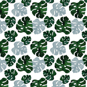 Monstera watercolour Dark Green on white medium