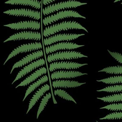 Large Fern Green Fern Leaf Silhouettes on Black