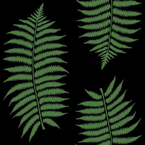 Large Fern Green Fern Leaf Silhouettes on Black