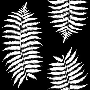 Large White Fern Leaf Silhouettes on Black