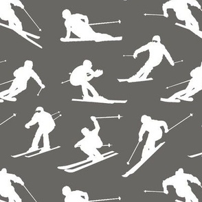 Skiers on Slate // Small