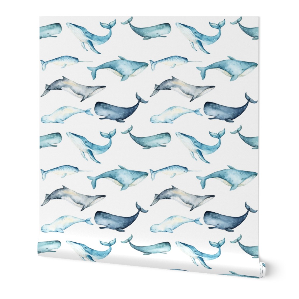 Watercolor Whales // White