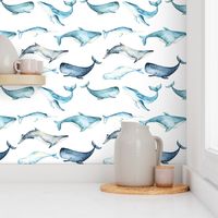 Watercolor Whales // White