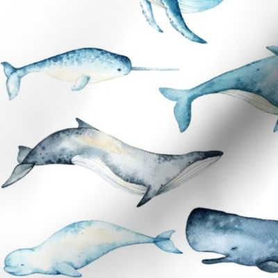 Watercolor Whales // White