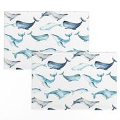 Watercolor Whales // White