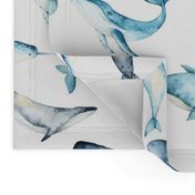 Watercolor Whales // White