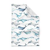 Watercolor Whales // White