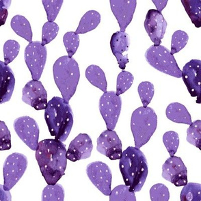 Watercolor Paddle Cactus // Medium // Purple
