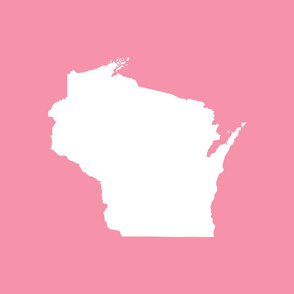 Wisconsin silhouette - 18" white on pink