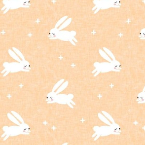 bunnies on orange