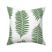 Large Fern Green Fern Leaf Silhouettes on White