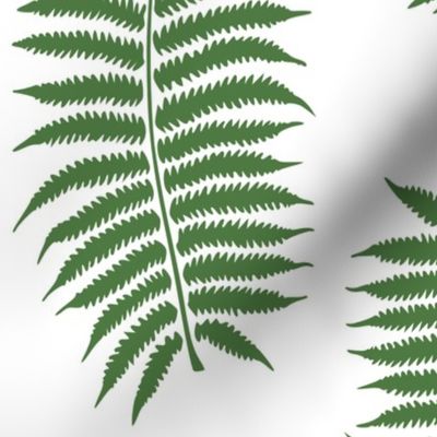 Large Fern Green Fern Leaf Silhouettes on White