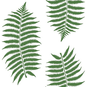 Large Fern Green Fern Leaf Silhouettes on White