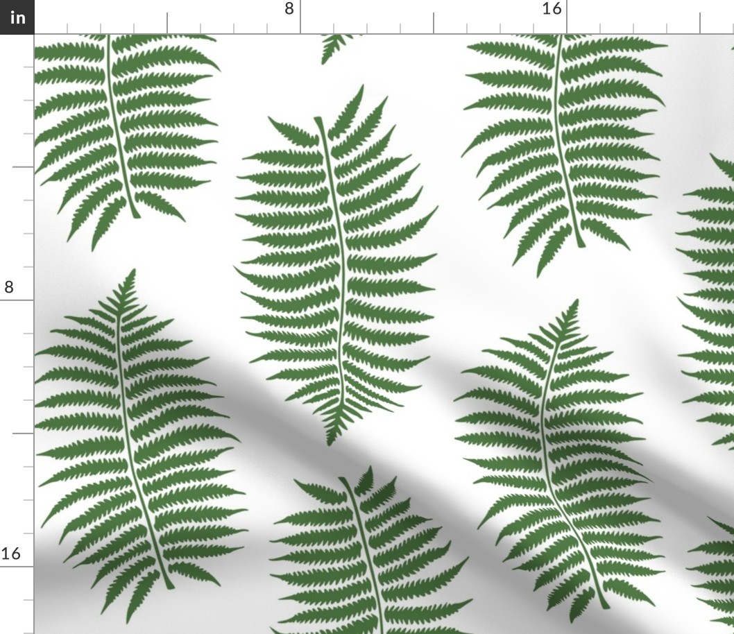 Large Fern Green Fern Leaf Silhouettes on White