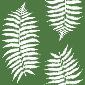 Large White Fern Leaf Silhouettes on Fern Green