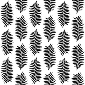 Medium Black Fern Leaf Silhouettes on White