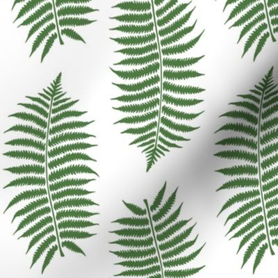 Medium Fern Green Fern Leaf Silhouettes on White