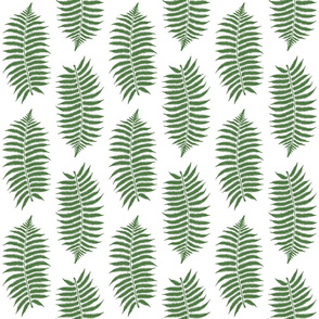 Medium Fern Green Fern Leaf Silhouettes on White