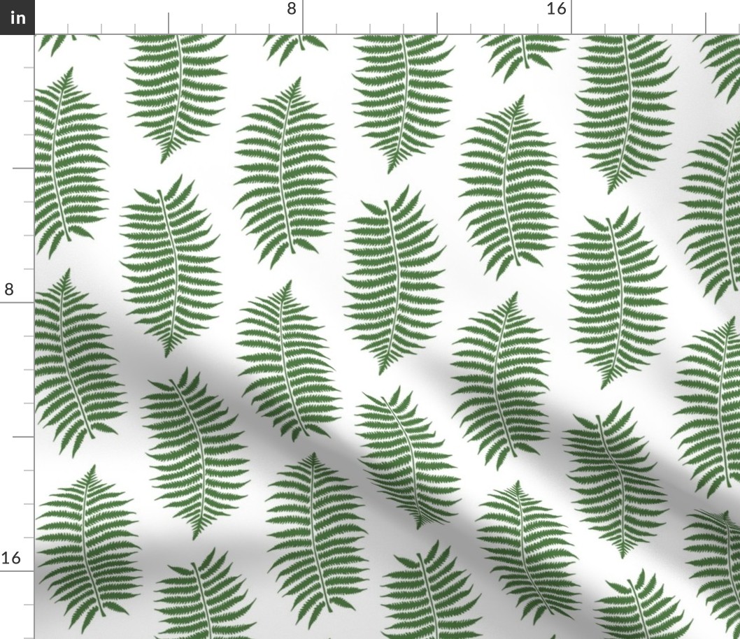 Medium Fern Green Fern Leaf Silhouettes on White