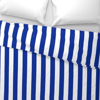 Cabana Stripe Cobalt Blue