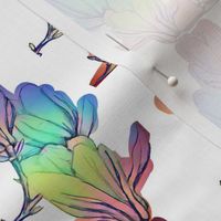 watercolour magnolia rainbow