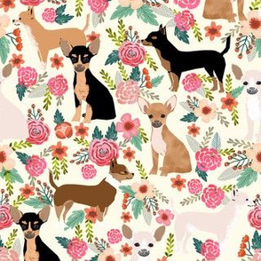 chihuahua dog breed floral pure breed pet fabric cream