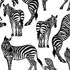 Zebras Black and White
