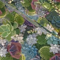 succulent tapestry