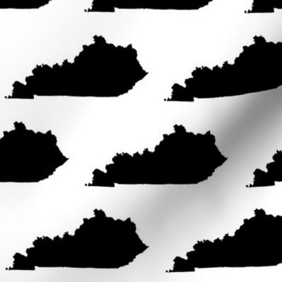 Kentucky // Large