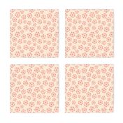 Funky Vintage Floral // Starburst Floral // Queen Anne's Lace in Salmon + Magenta