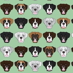 Boxer Dog Faces on Mint a Babalus Design 