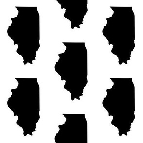 Illinois // Large