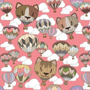 Kitty Hot-Air Balloons Pink Sunset