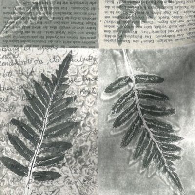 Black _ White - Fern