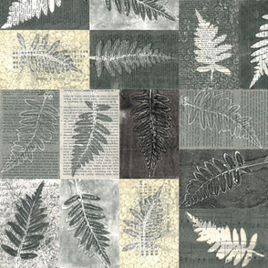 Black _ White - Fern